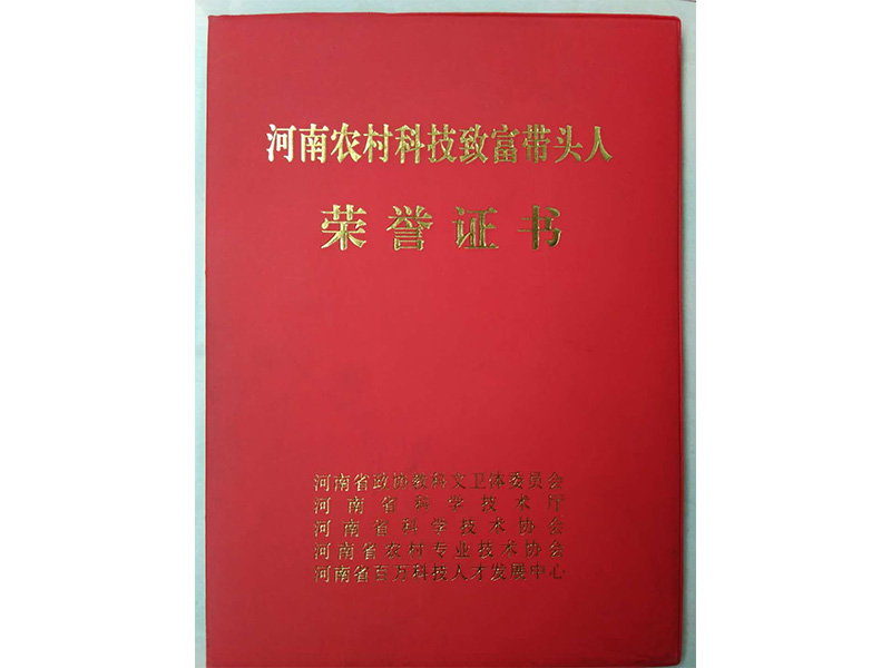 資質(zhì)榮譽(yù)